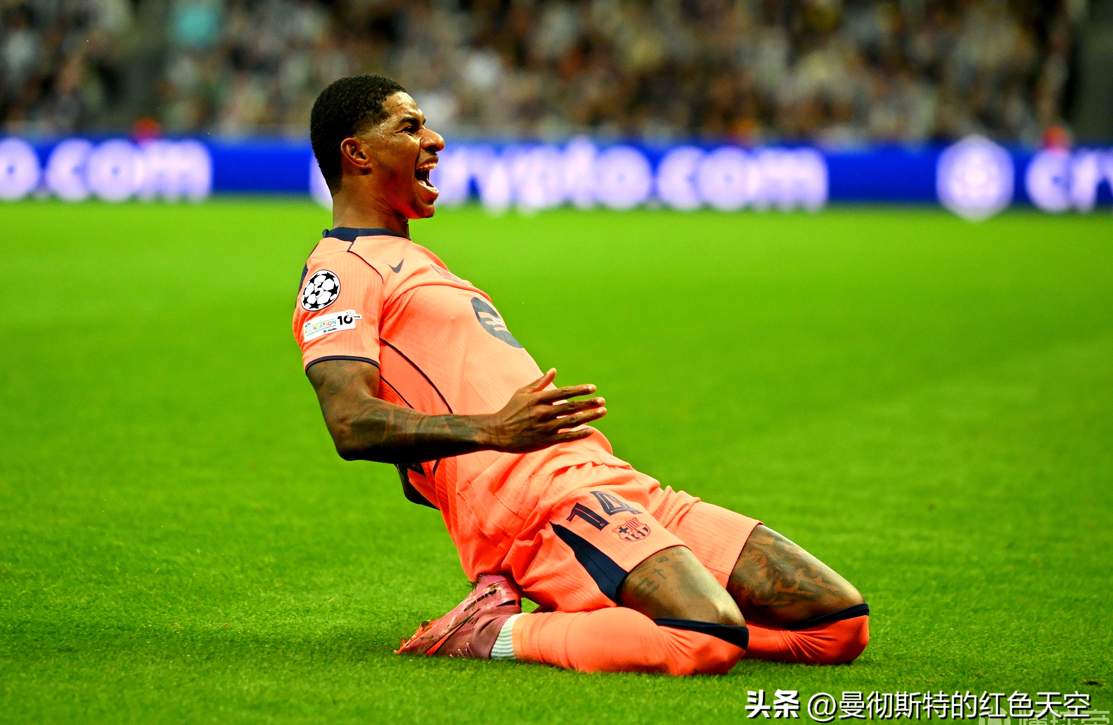 周末世界杯预选赛前瞻：胡金秋伤情更新，菲尼克斯太阳冲击零封纪录的简单介绍